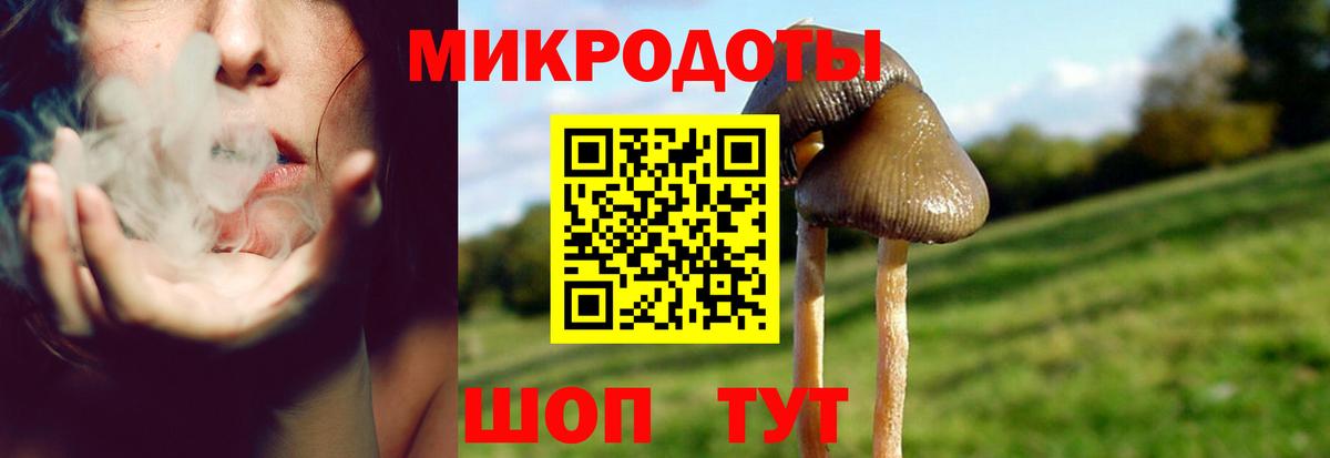 Галлюциногенные грибы Psilocybine cubensis Отрадный